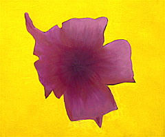 Gina Oomen "Bloem"