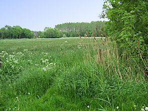 U kunt van de stilte genieten of in de omgeving fietsen, wandelen of varen